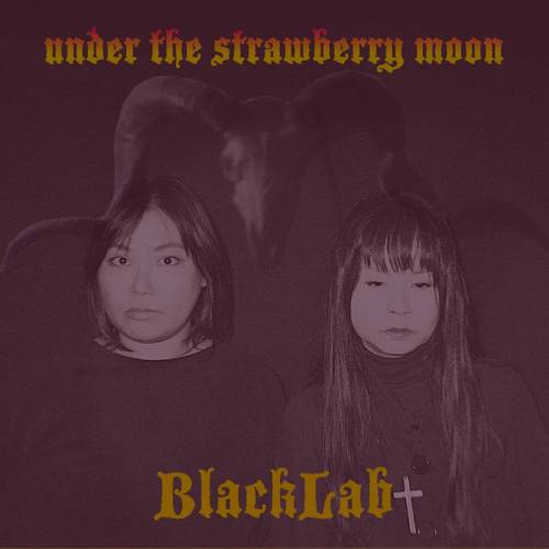 BlackLab : Under the Strawberry Moon
